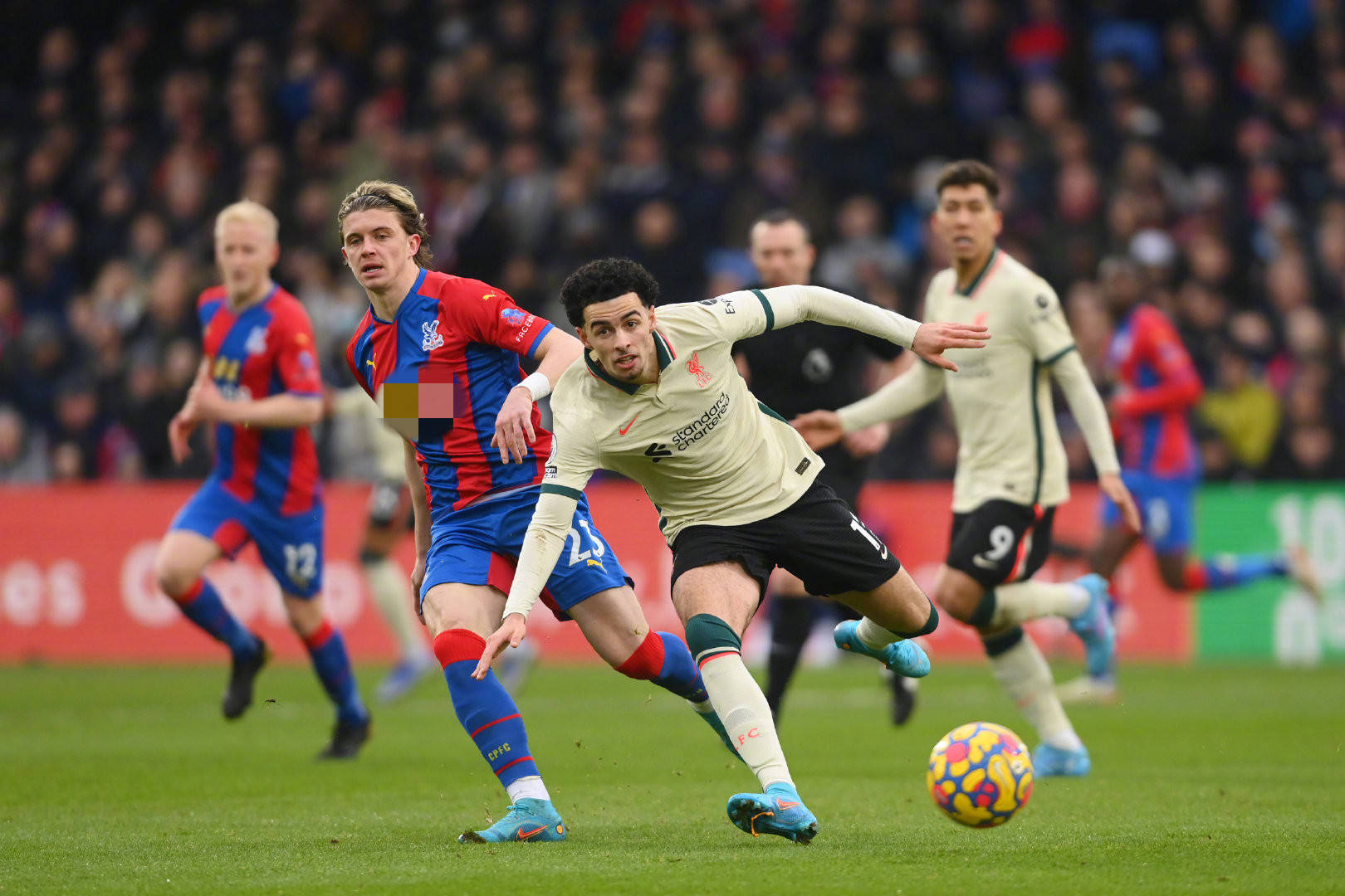 性的全面考 性的全面考